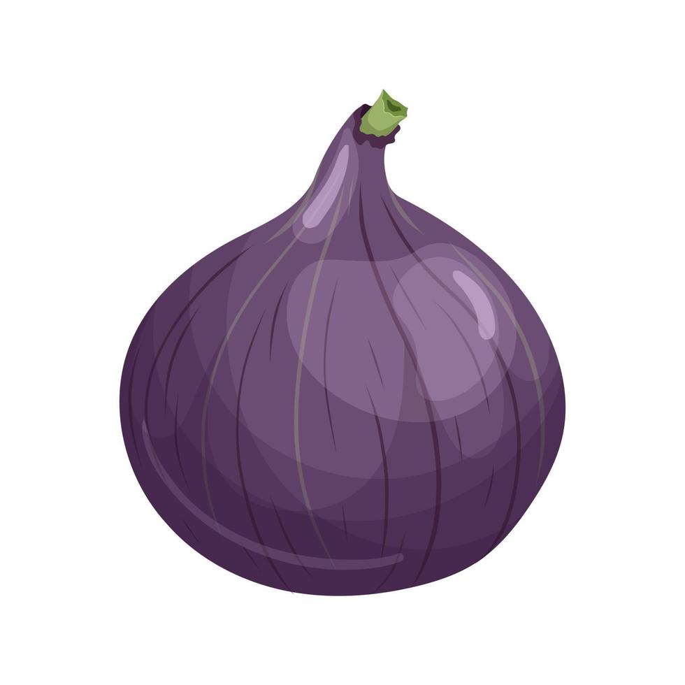 fig fruit cartoon vector illustration