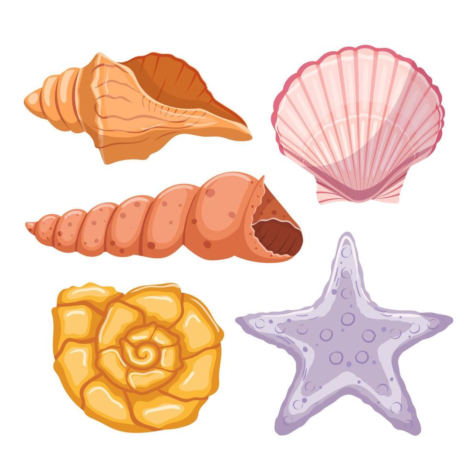 shell sea set cartoon vector