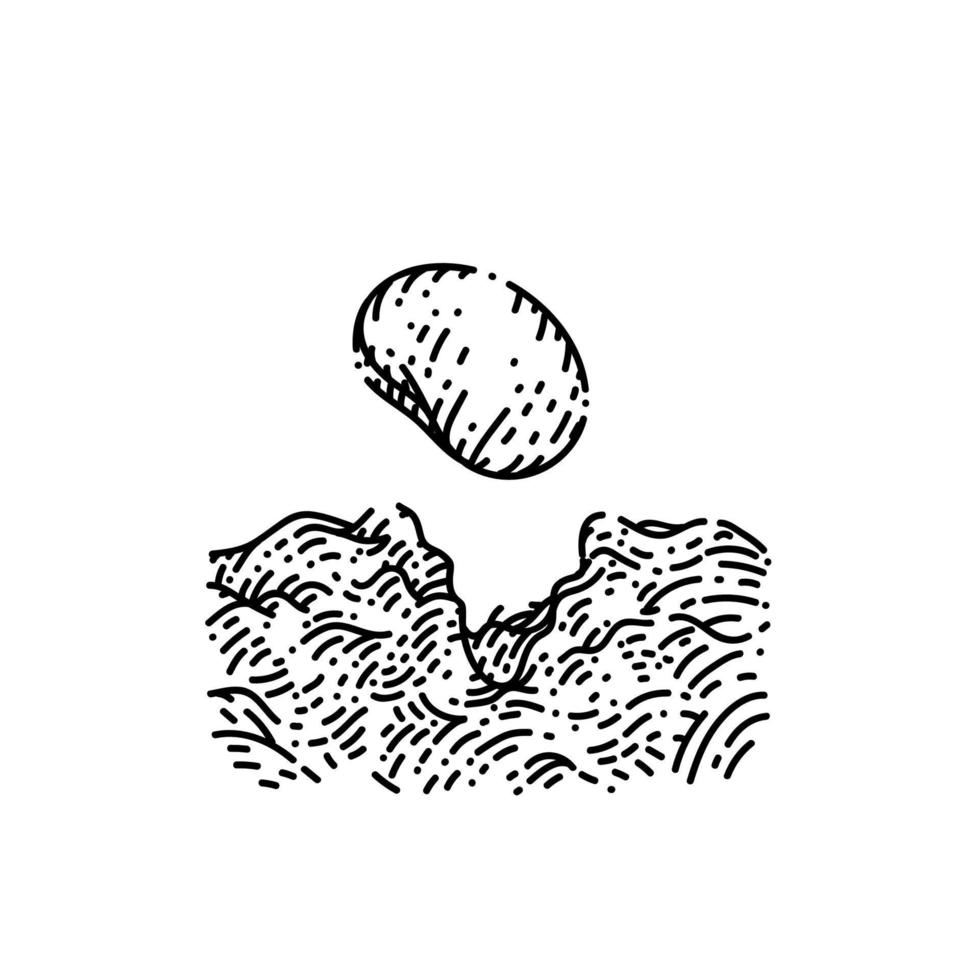 seed sketch hand drawn vector