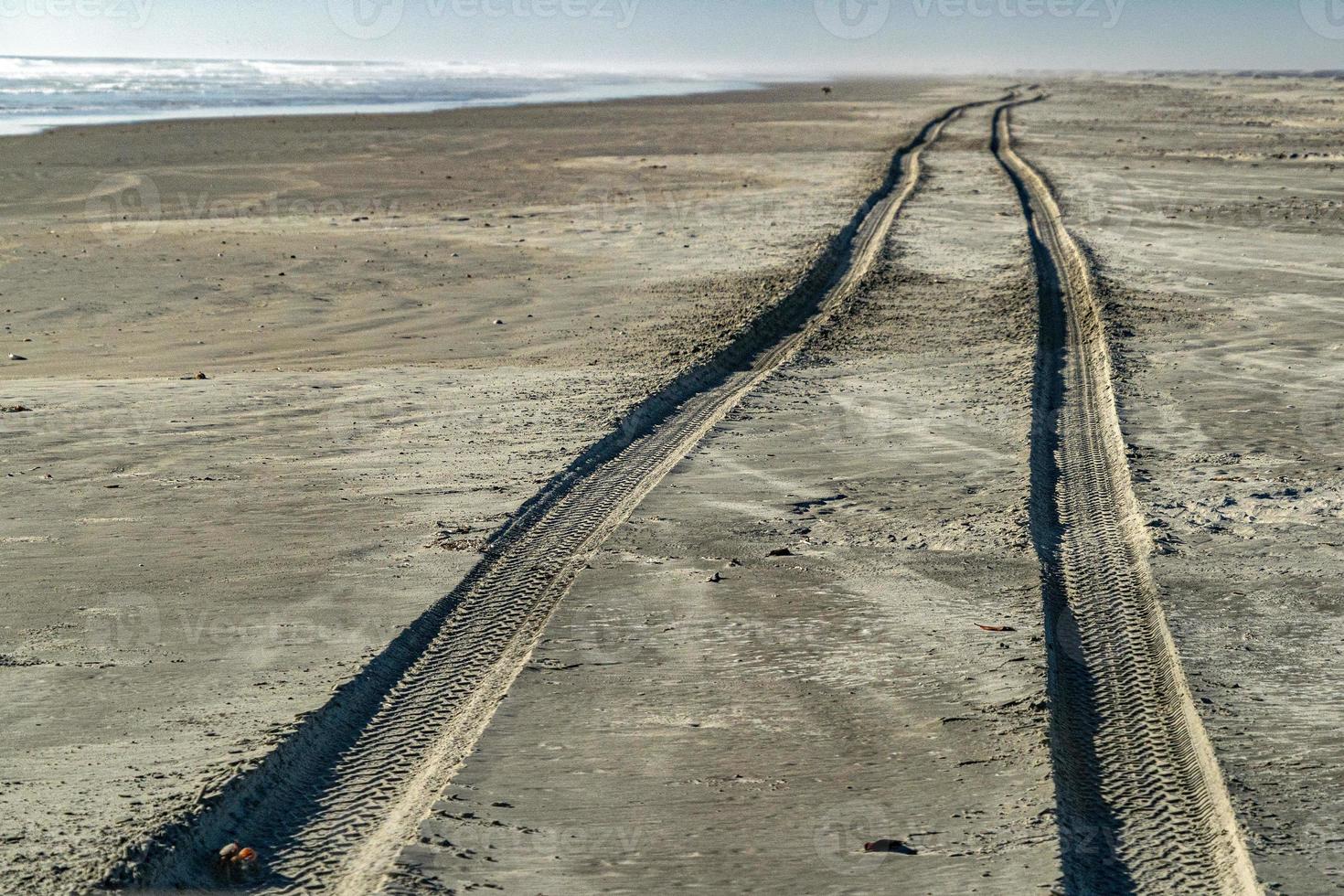 pistas de coches todoterreno en la playa de arena del océano pacífico en baja california sur foto