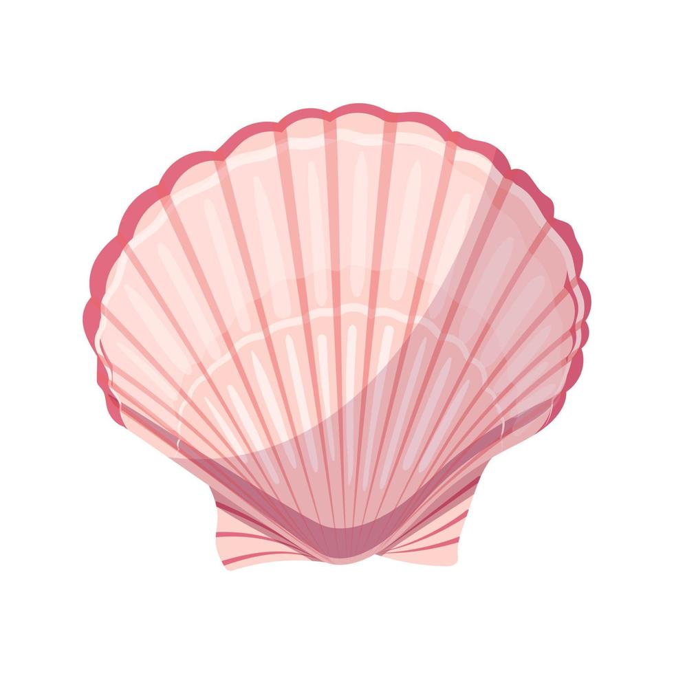 shell sea cartoon vector