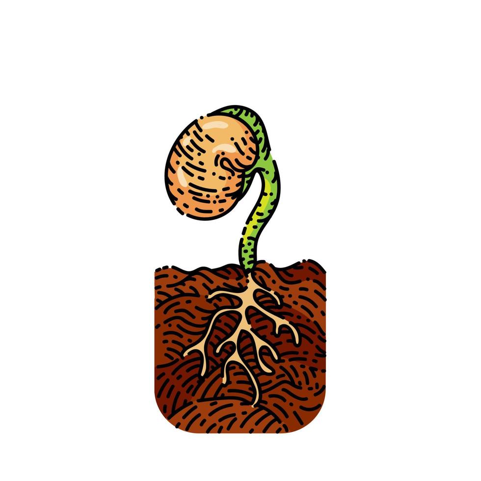 plant growth sketch hand drawn vector