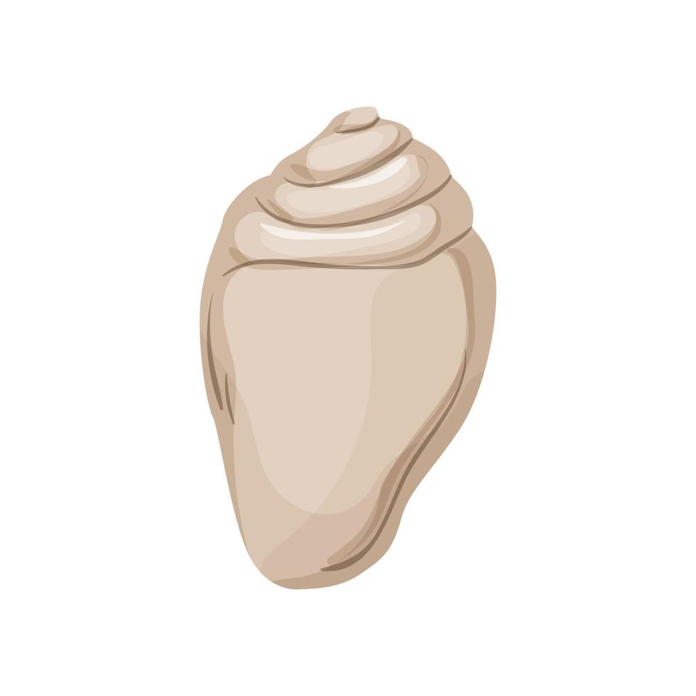 clam sea shell cartoon vector illustration