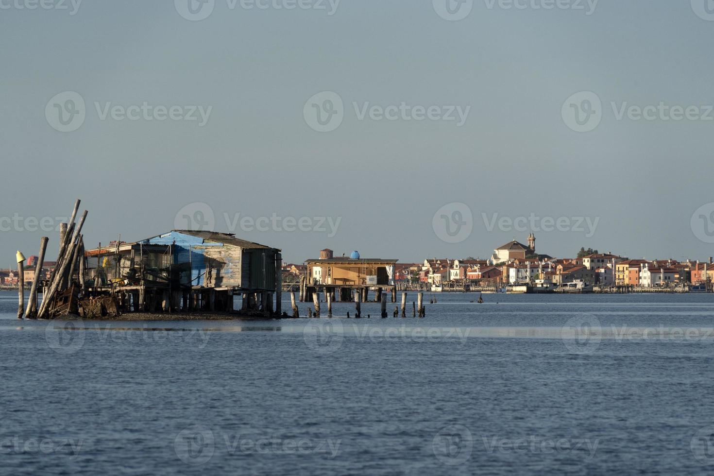 Mussels breeding in Chioggia Italy photo