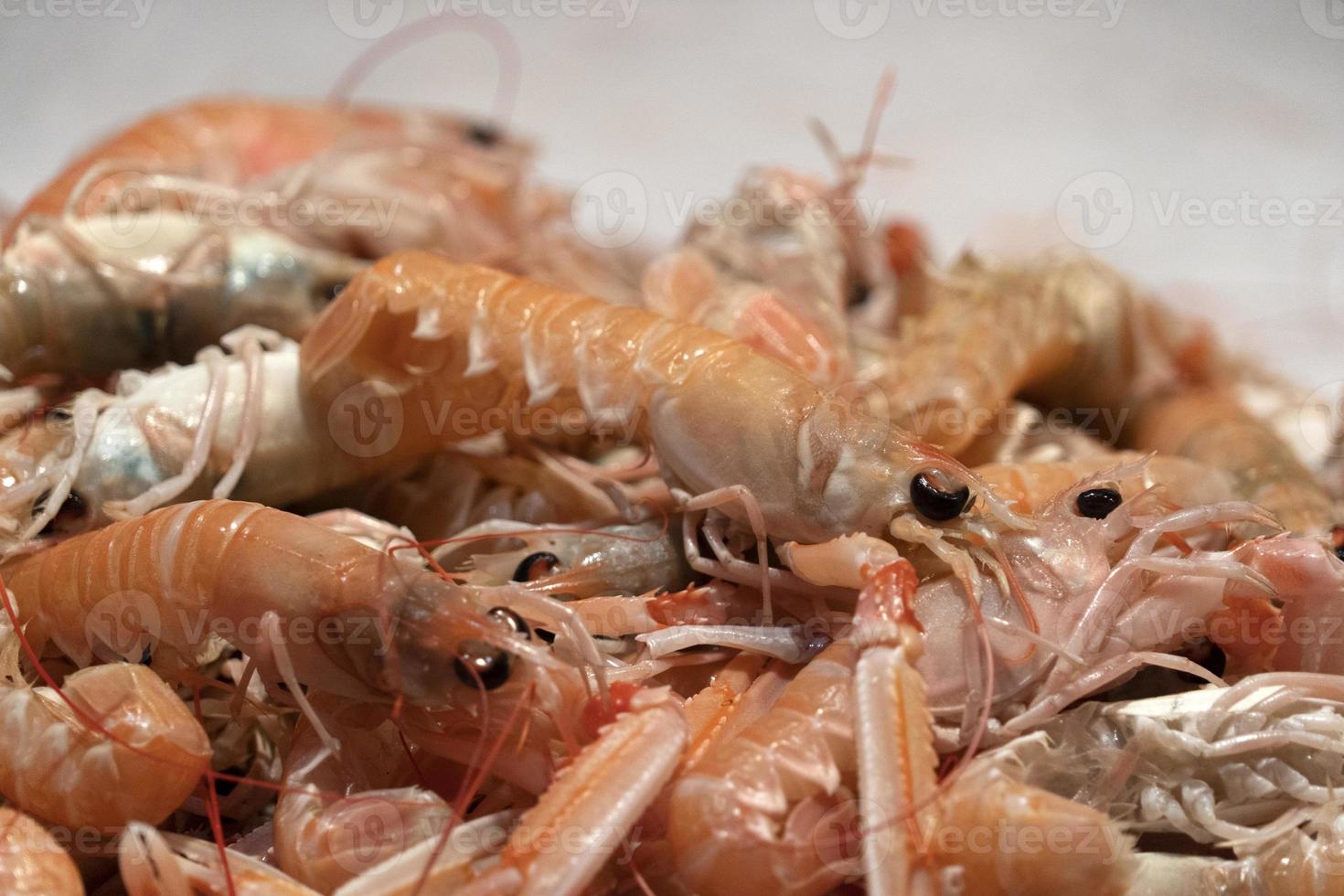 gambas frescas en el mercado de pescado foto