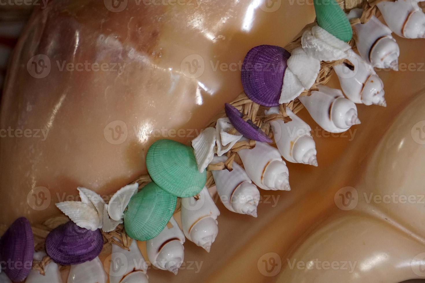 Polynesia shell necklage photo