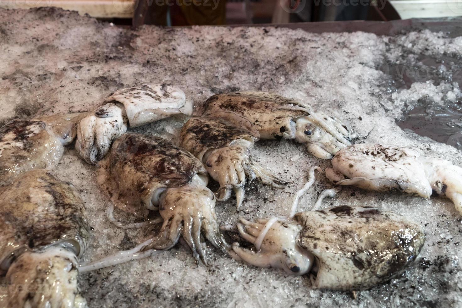 sepia entintada negra fresca en el mercado de pescado foto