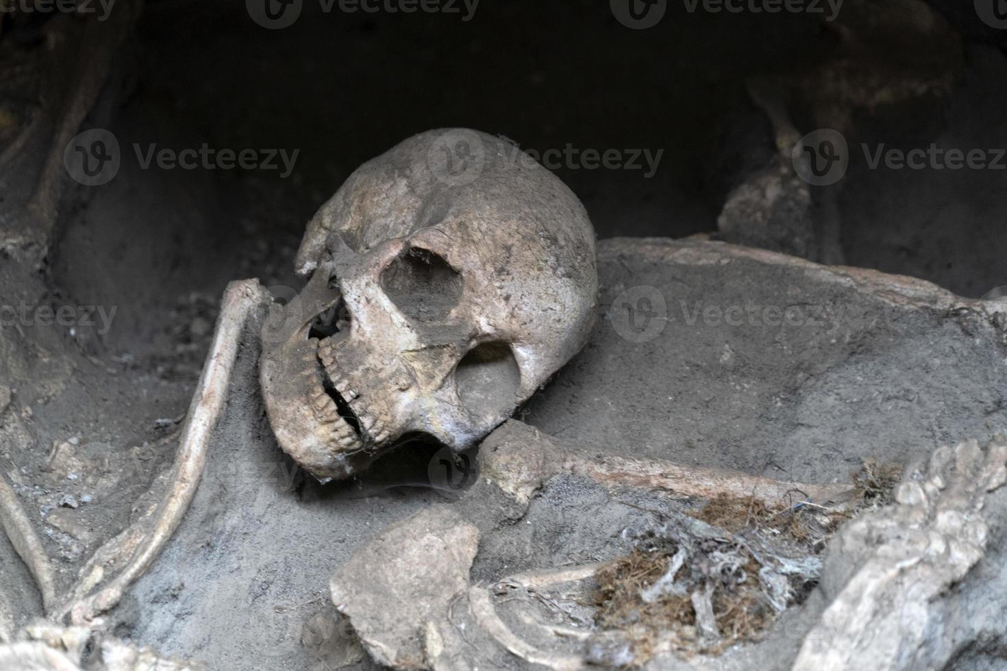 ercolano herculano fugitivos esqueletos en la playa foto