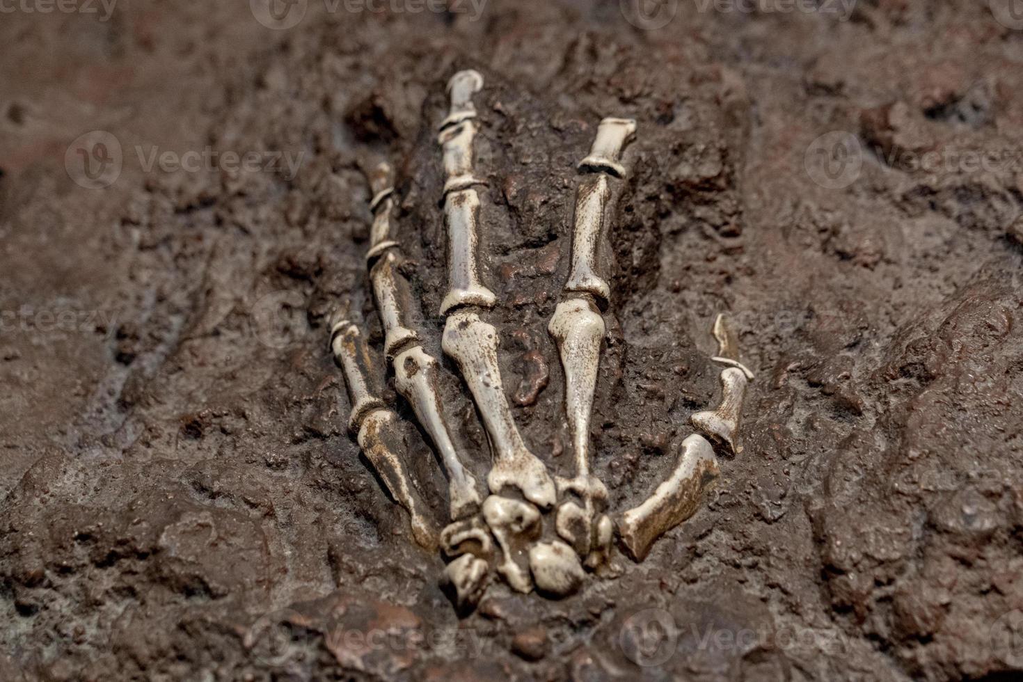 Prehistoric bone skull hand inside a rock photo
