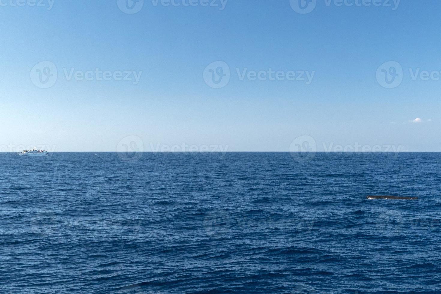 Sperm Whale watching boat at sunset photo