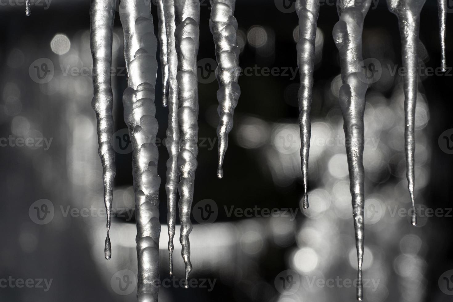 carámbanos hielo congelado en las ramas de los árboles foto
