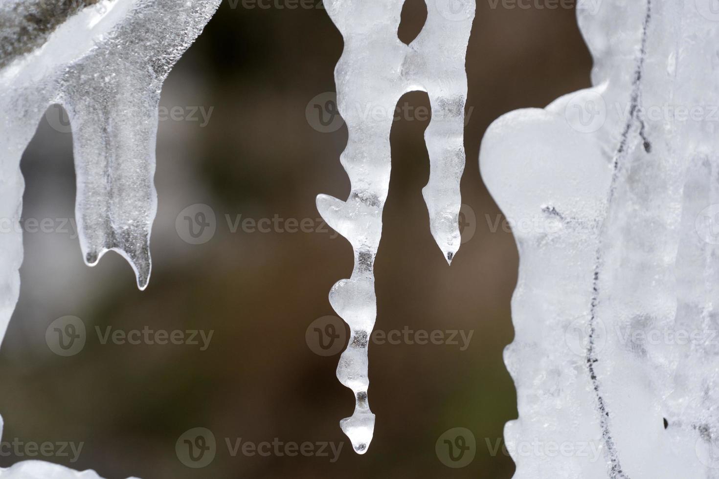 carámbanos hielo congelado en las ramas de los árboles foto