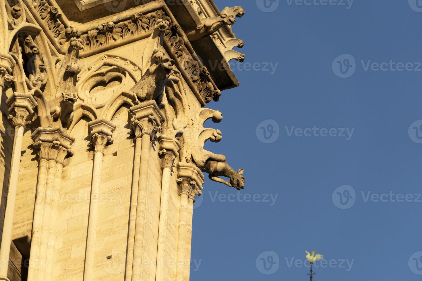 Notre dame Paris cathedral detail photo