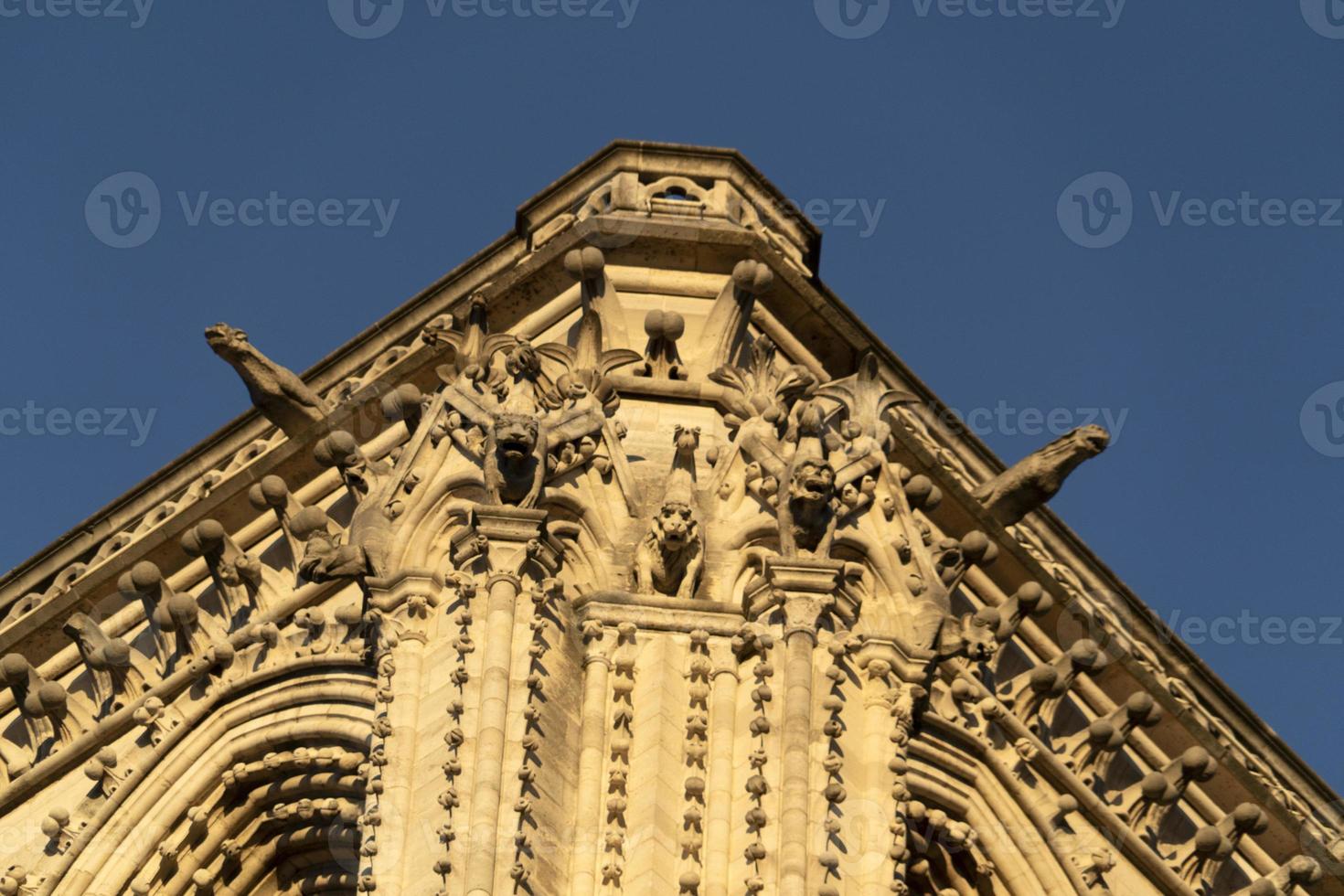 Notre dame Paris cathedral detail photo