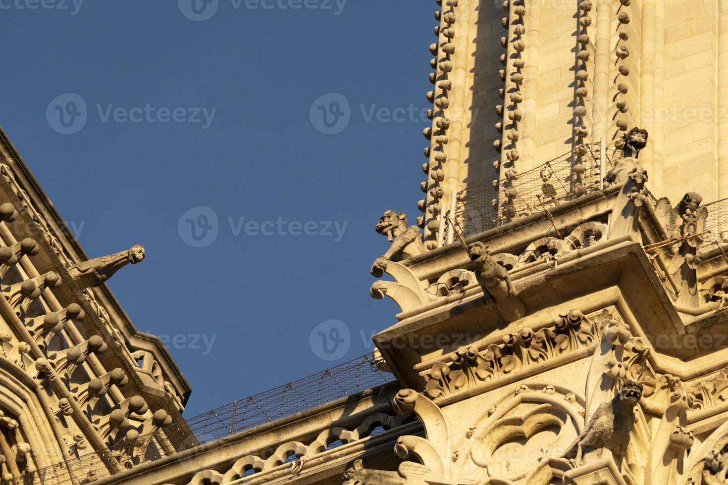 Detalle de la catedral de Notre Dame de París foto