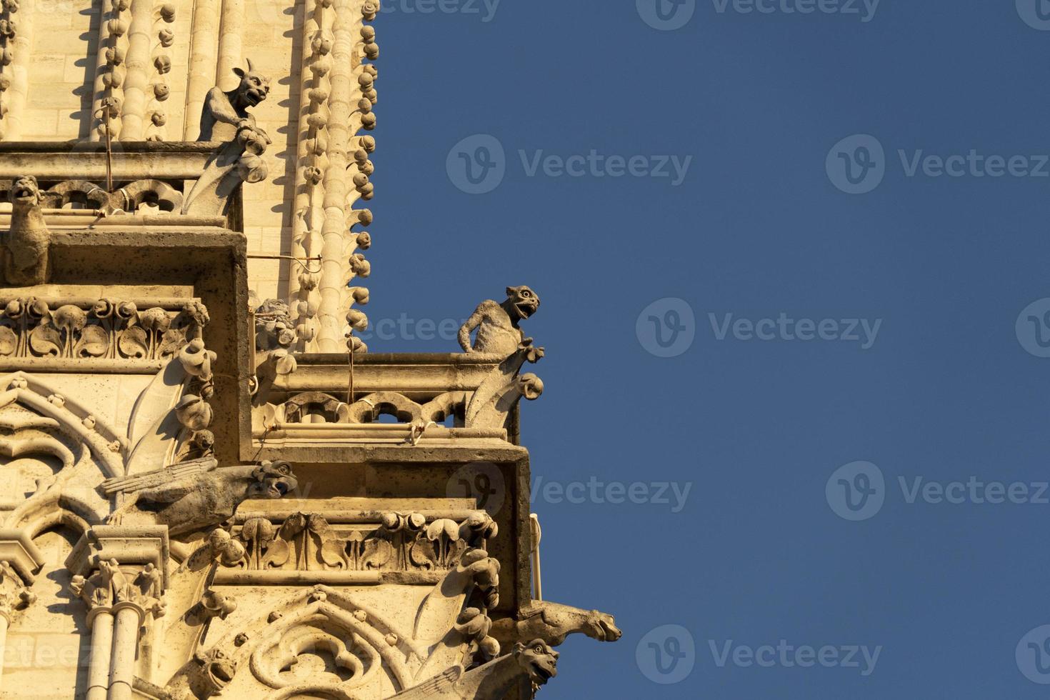 Notre dame Paris cathedral detail photo