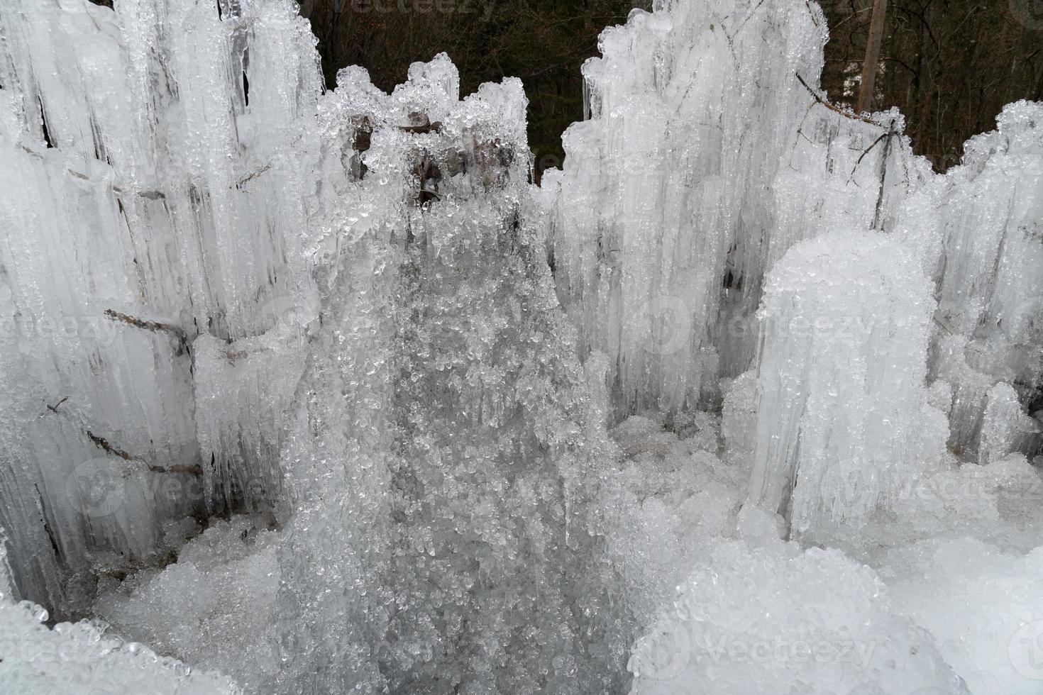 icicles frozen ice on tree branches photo