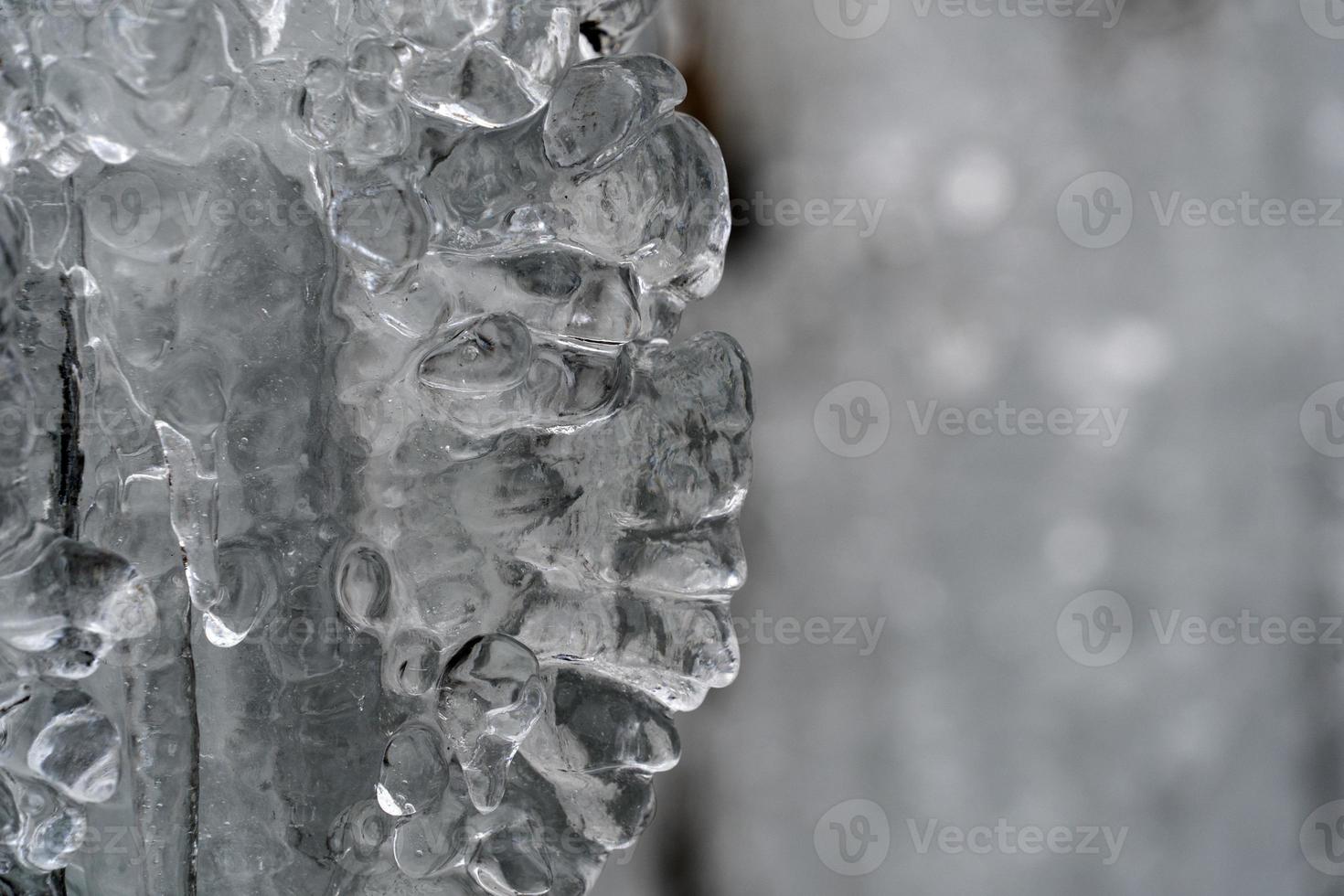 icicles frozen ice on tree branches photo