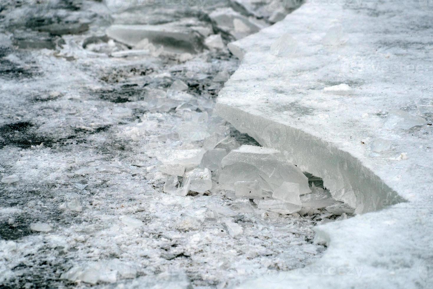 icicles frozen ice on grass lake photo