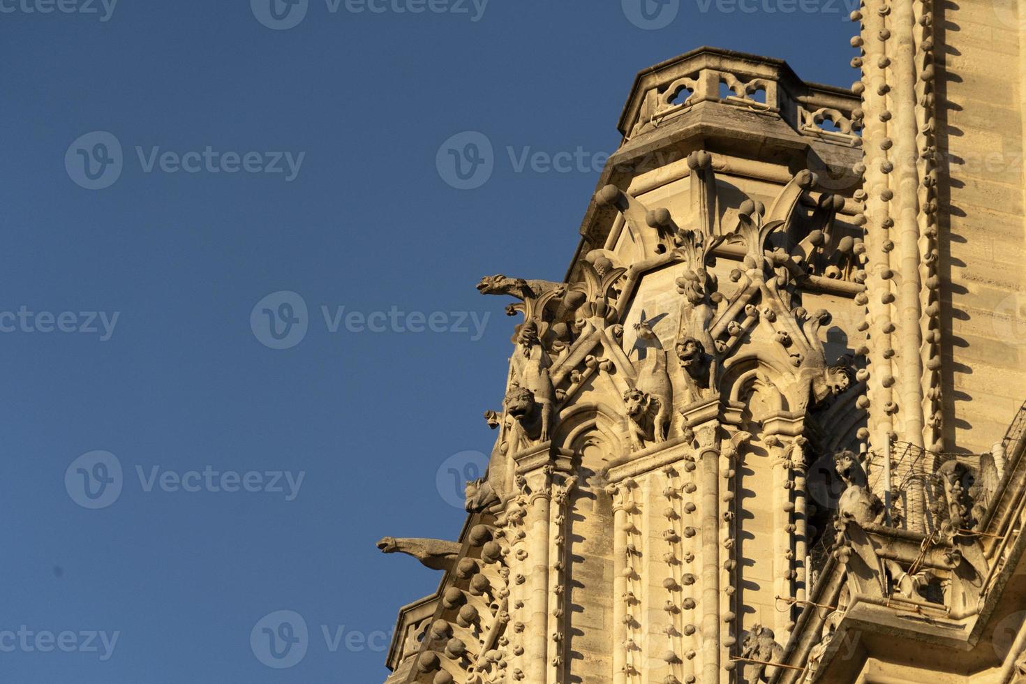 Notre dame Paris cathedral detail photo