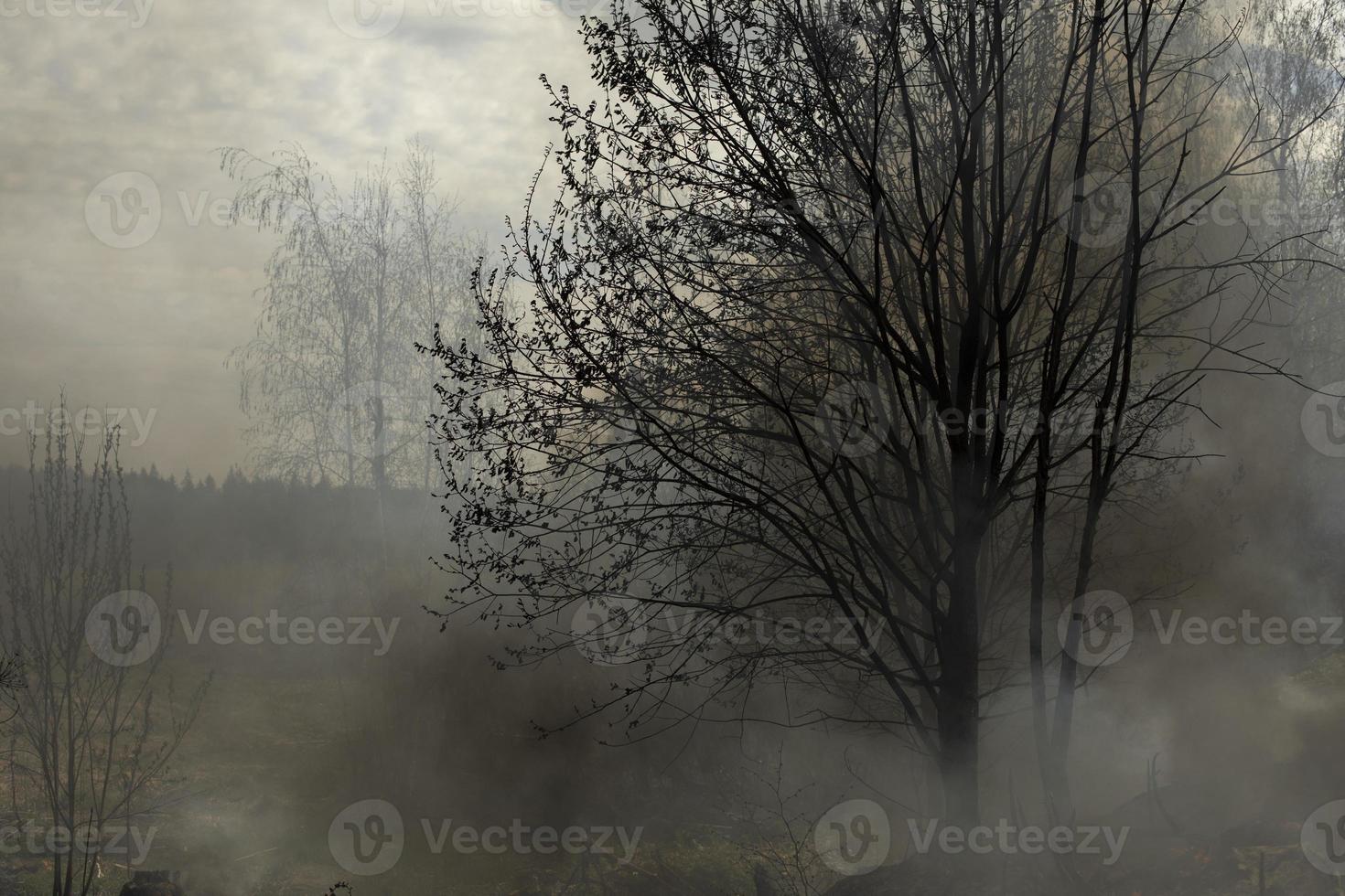 Black smoke from fire. Burning of garbage. Destruction of nature. Environmental disaster. photo