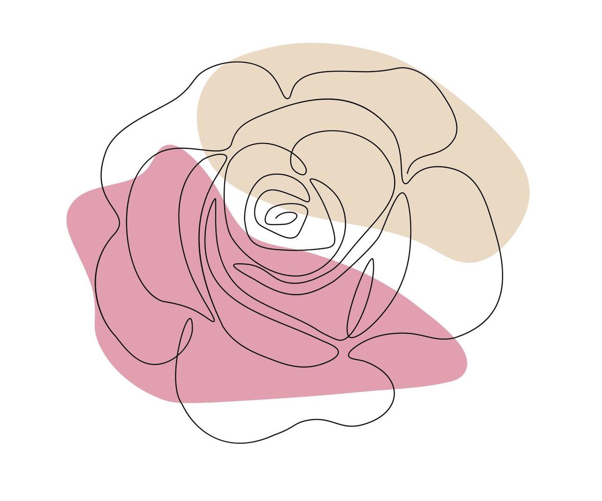 a blooming rose,hand drawn, continuous mono line, one line art vector