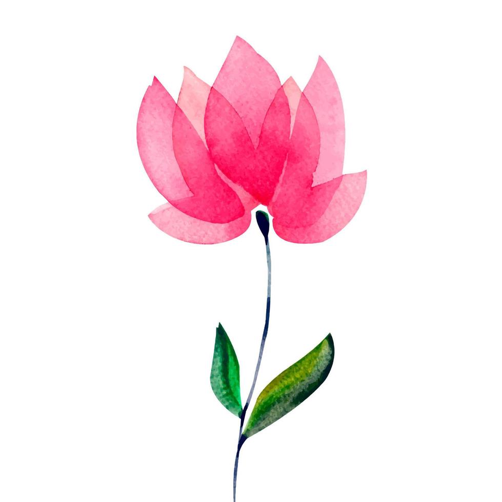 Abstract Watercolor pink flower isolated vector