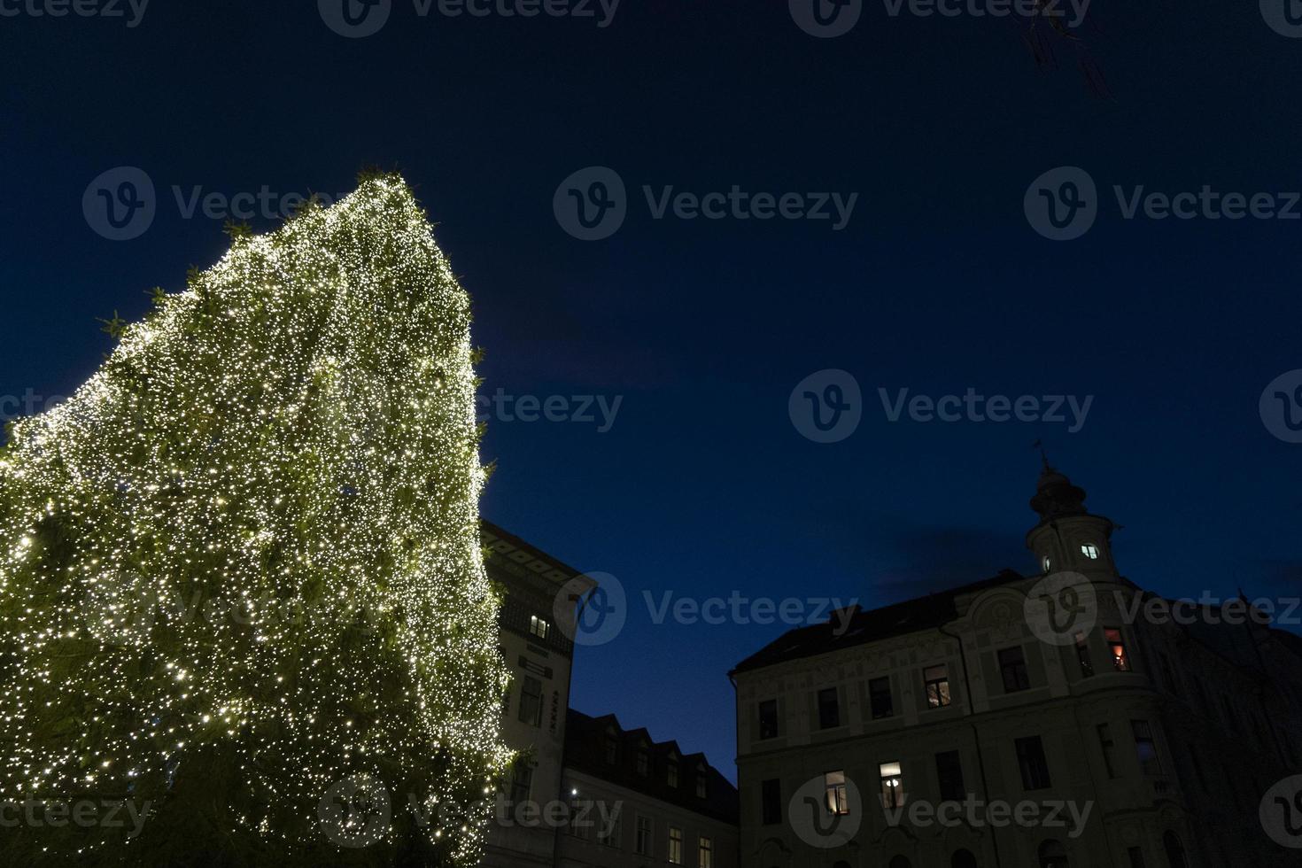 ljubljana main place xmas tree photo