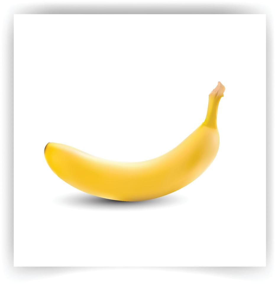 Banana isolated on white background. Realistic fruit. Banana in realistic style. 3d banana isolated on white background for printe, apps, webpages. vector