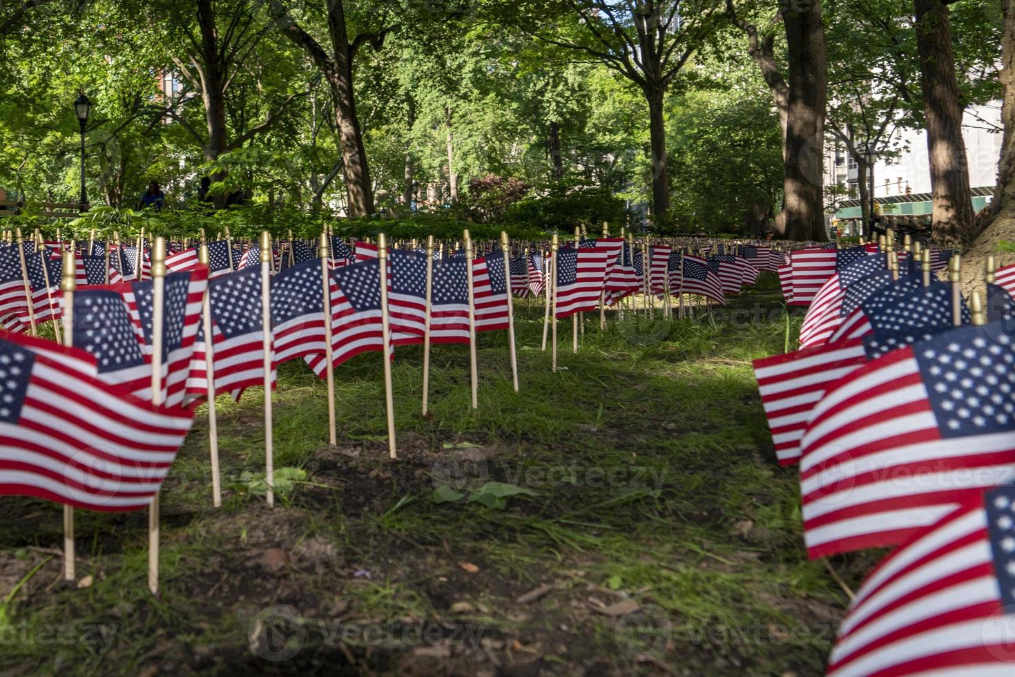 Many usa flags on green field photo