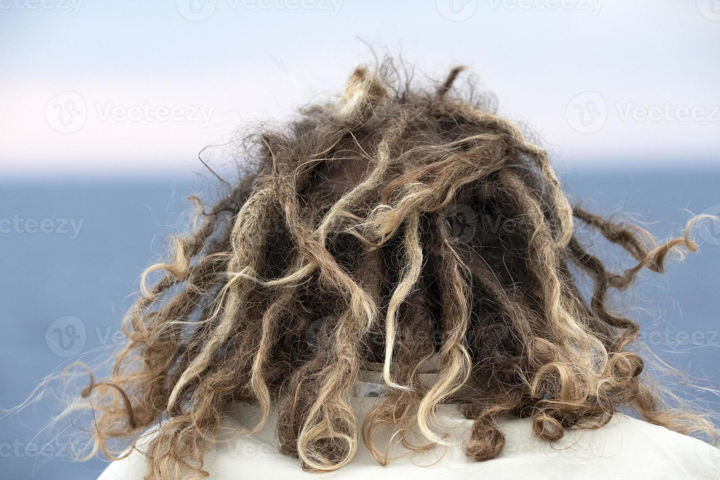 rasta man hair in the wind looking at the ocean photo