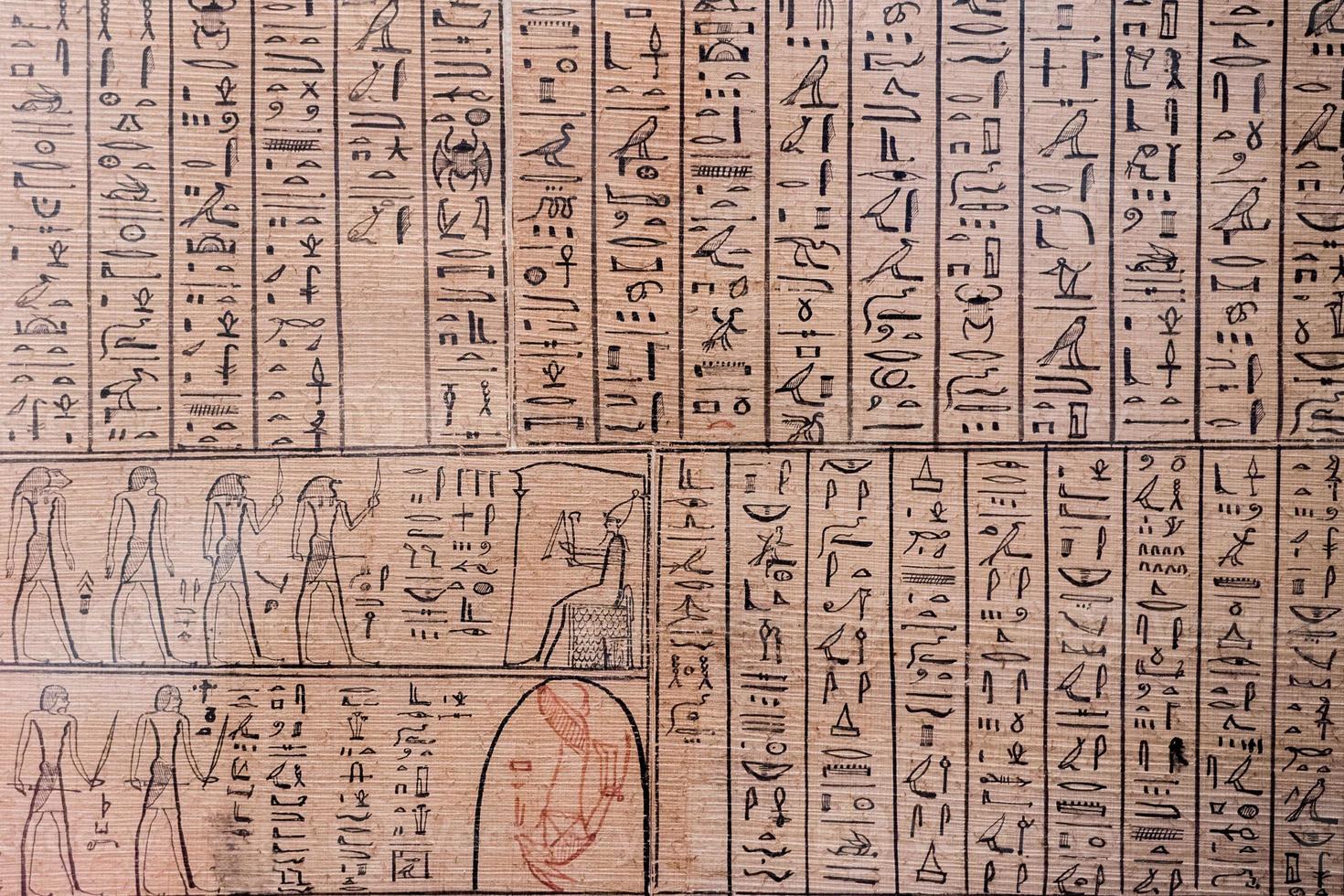 ancient hieroglyphs on papyrus detail photo