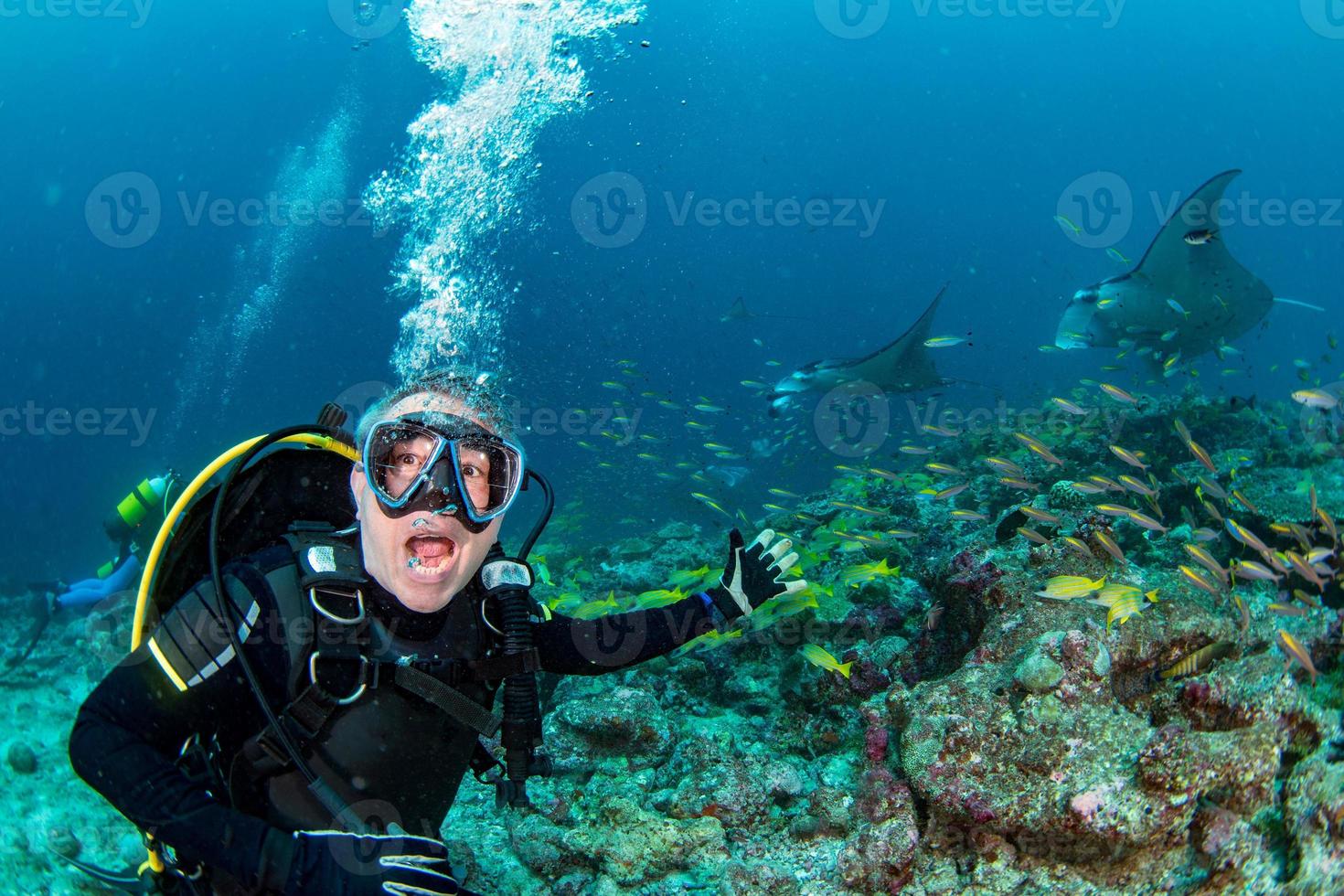 scuba diver yelling oh my god at Manta in the blue ocean background portrait photo