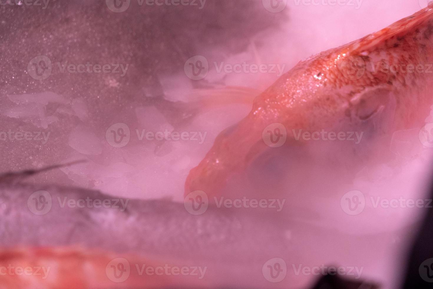 seafood for sale at the market on smoking ice photo