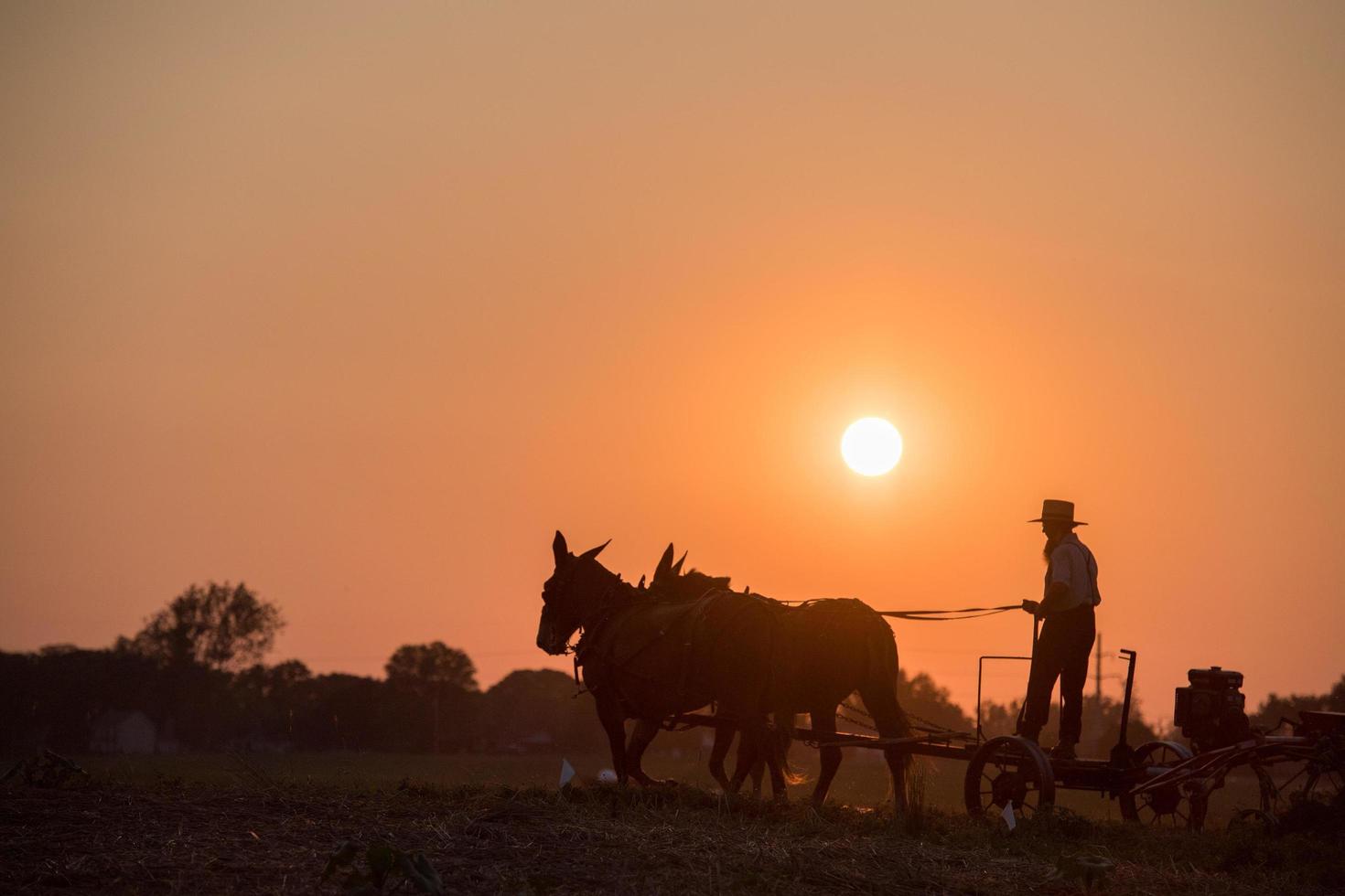 LANCASTER, USA - JUNE 25 2016 - Amish people in Pennsylvania photo