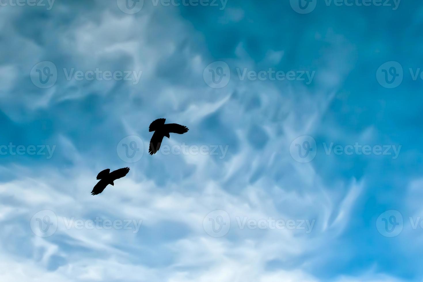 silueta de dos cuervos en el cielo azul pintado de la montaña foto