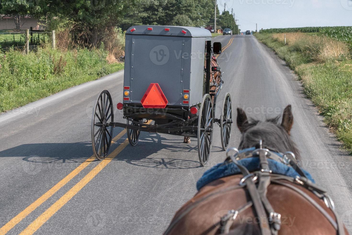 wagon buggy in lancaster pennsylvania amish country photo