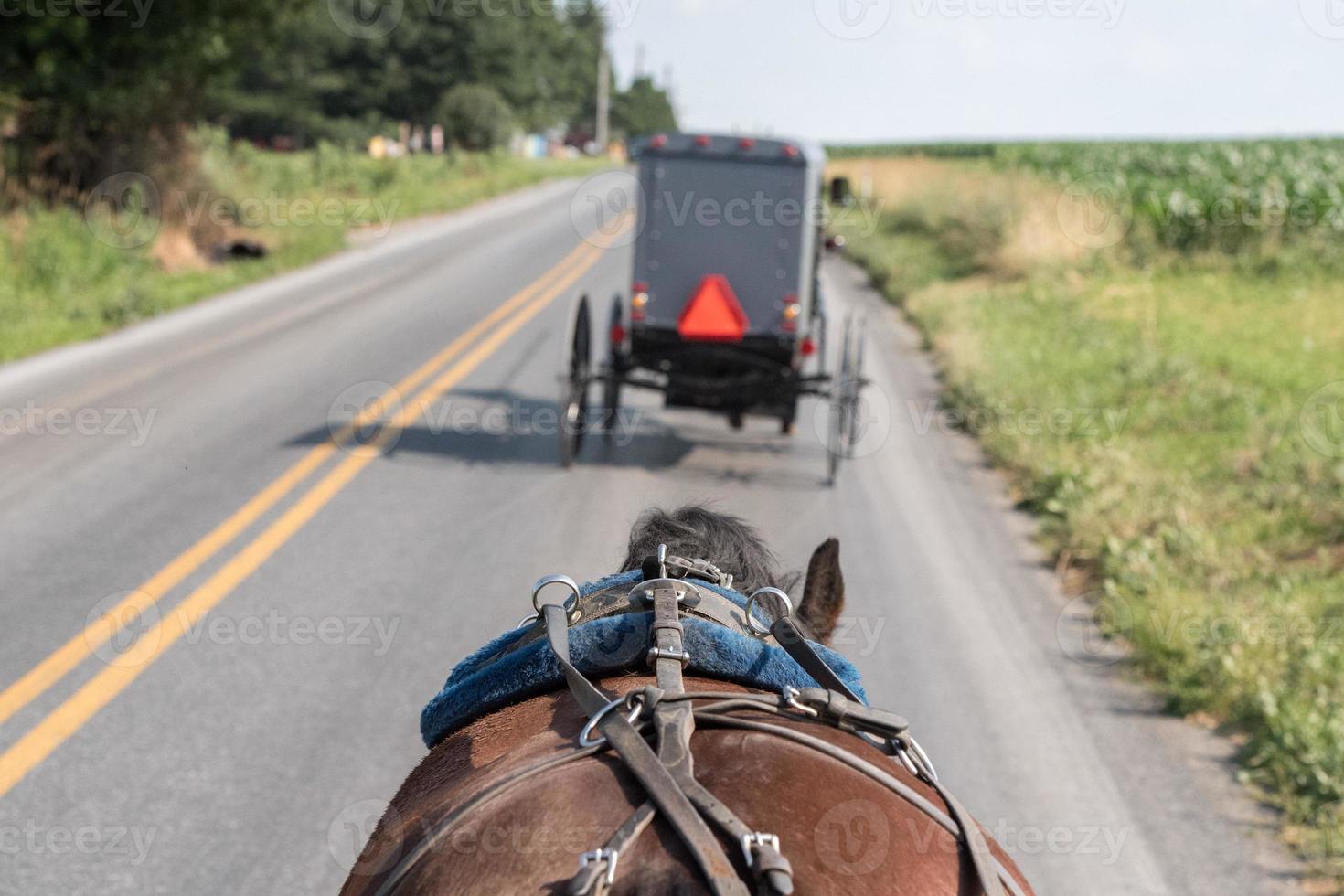 wagon buggy in lancaster pennsylvania amish country photo