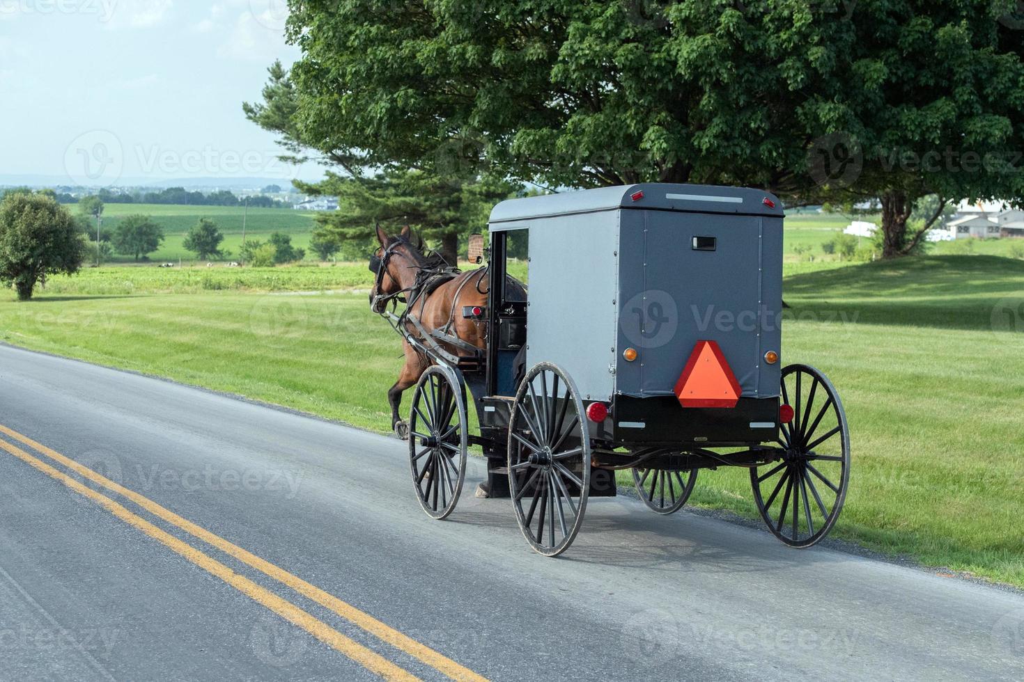 wagon buggy in lancaster pennsylvania amish country photo