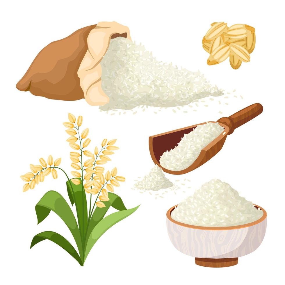 conjunto de granos de arroz ilustración vectorial de dibujos animados  17414863 Vector en Vecteezy