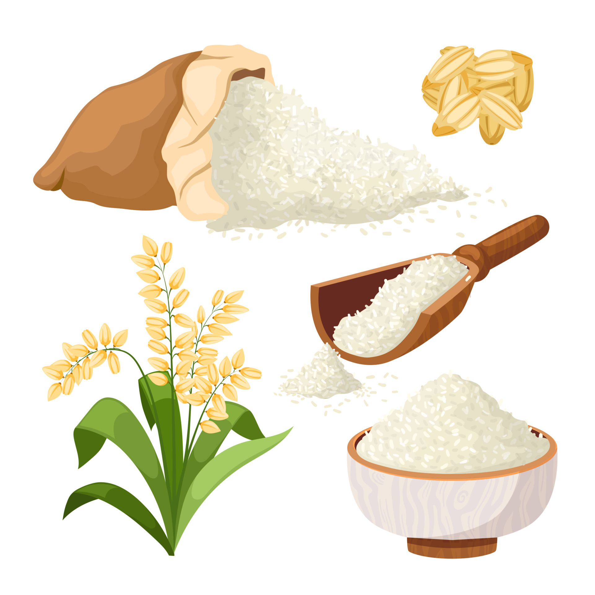 Rice Grain Set Cartoon Vector Illustration 17414863 Vector Art At Vecteezy rice-grain-set-cartoon-vector-illustration-17414863-vector-art-at-vecteezy