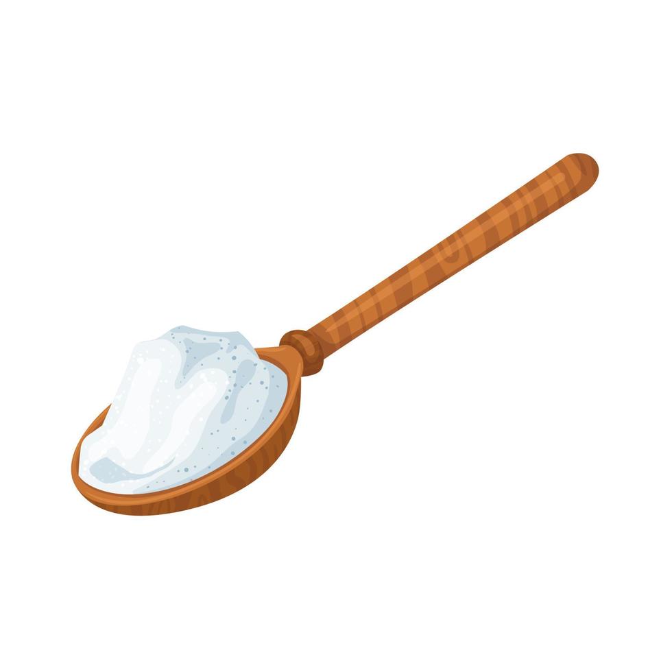 salt in wooden spoon cartoon vector illustration