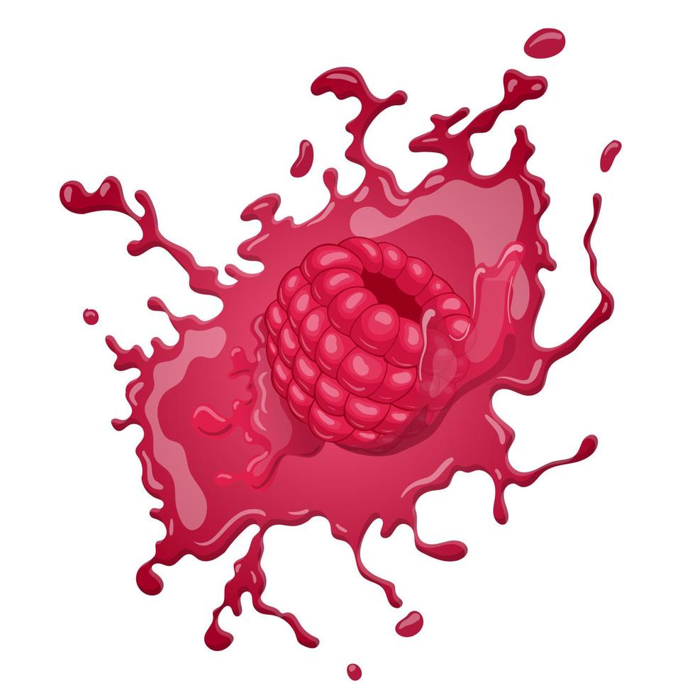 raspberry splash cartoon vector illustration