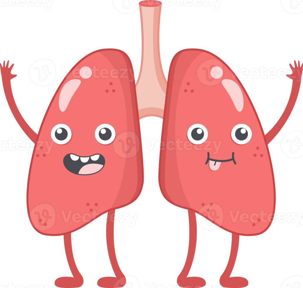 Lung of human . Cartoon characters . png