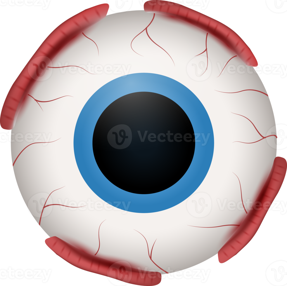 Eyeball of human . Realistic design . png