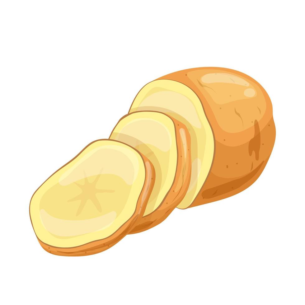 potato cut cartoon vector illustration