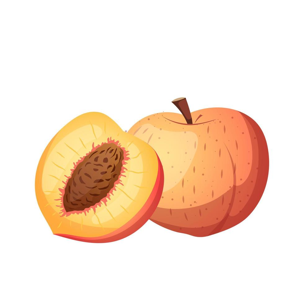 vector de dibujos animados de fruta melocotón