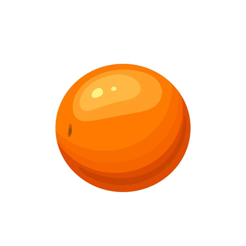 physalis berry cartoon vector illustration