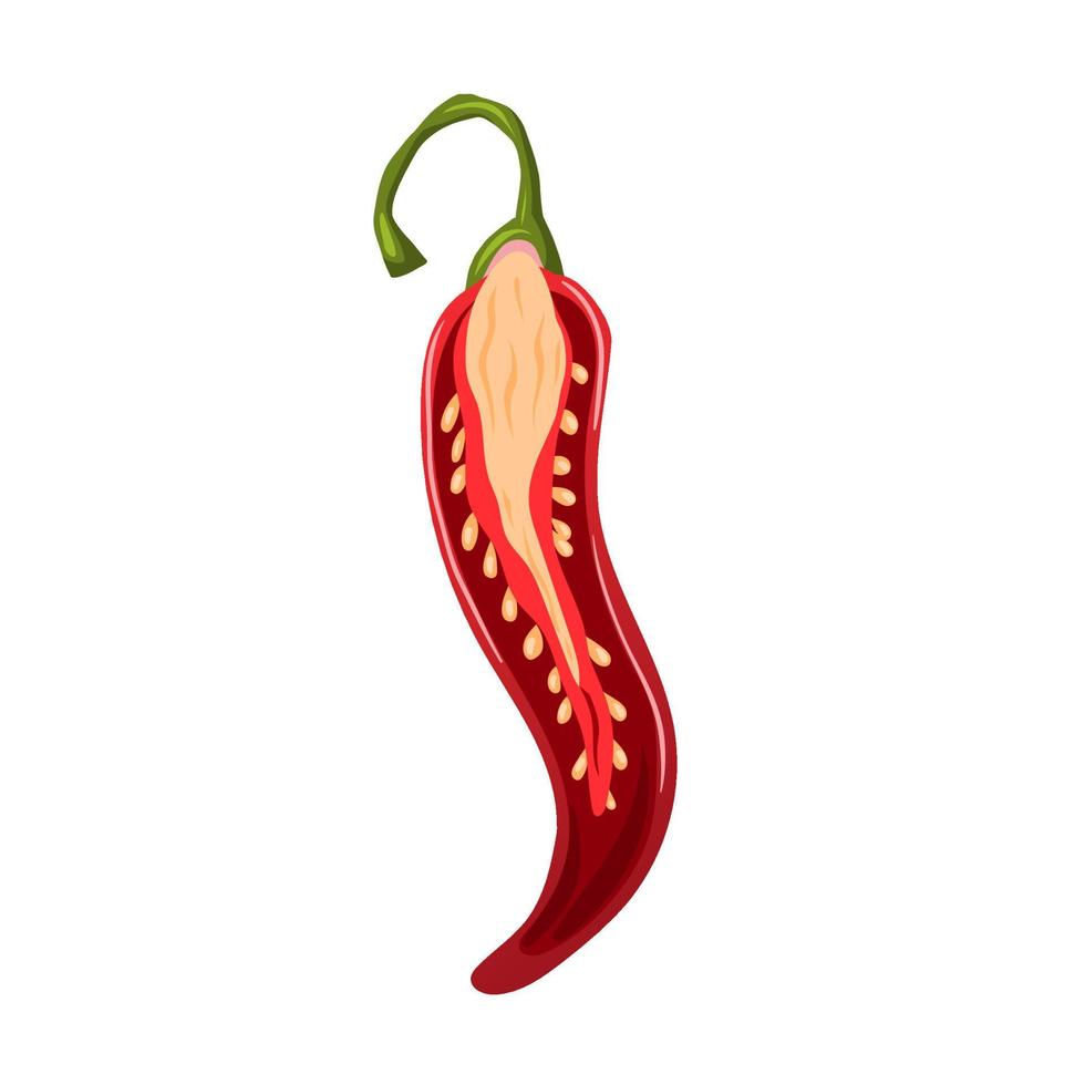 sliced chili pepper cartoon vector