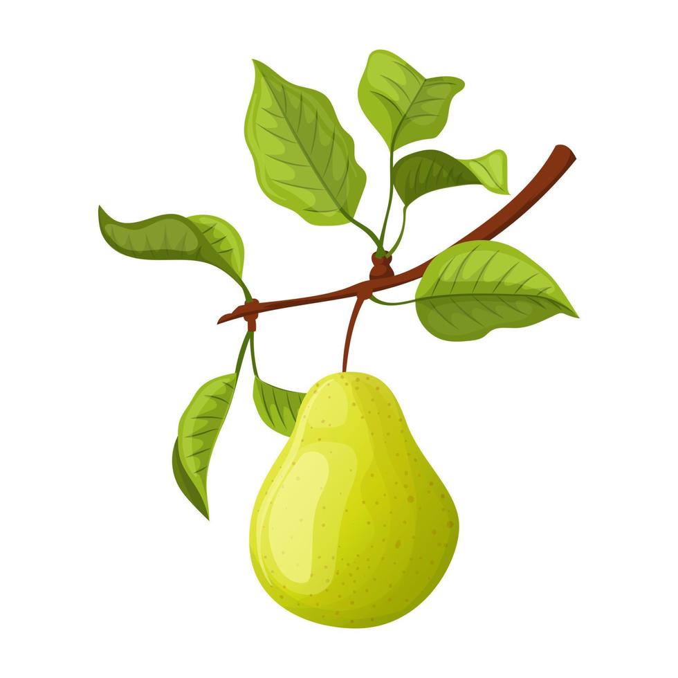 pear green cartoon vector illustration